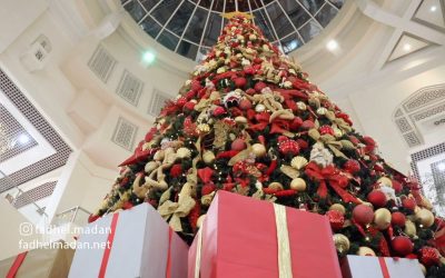 إلى ماذا ترمز شجرة الميلاد في احتفالات ميلاد السيد المسيح؟