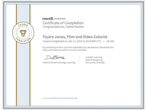 Film and Video Colorist