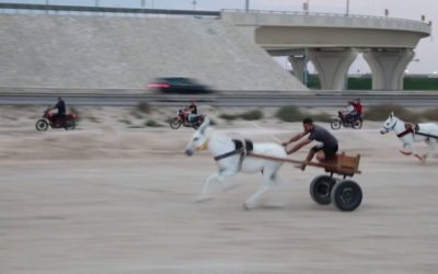 سباق الحمير الشعبي في البحرين